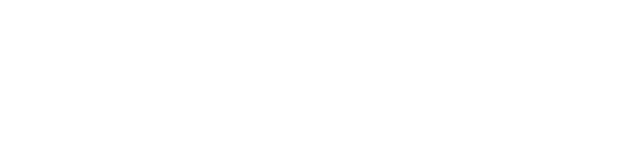 THE NEXT LEVEL